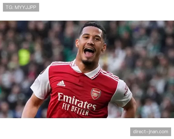 威廉·萨利巴在法国国家队轮换体系中的战术定位与作用解析